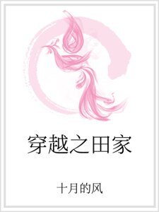 《穿越之田家》