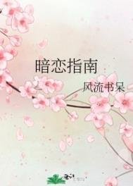 《暗戀指南》