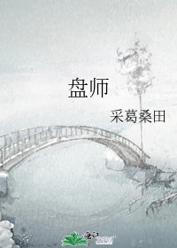 盘师